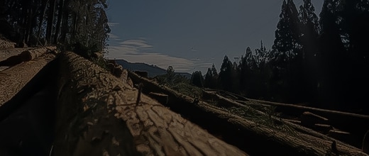 募集要項